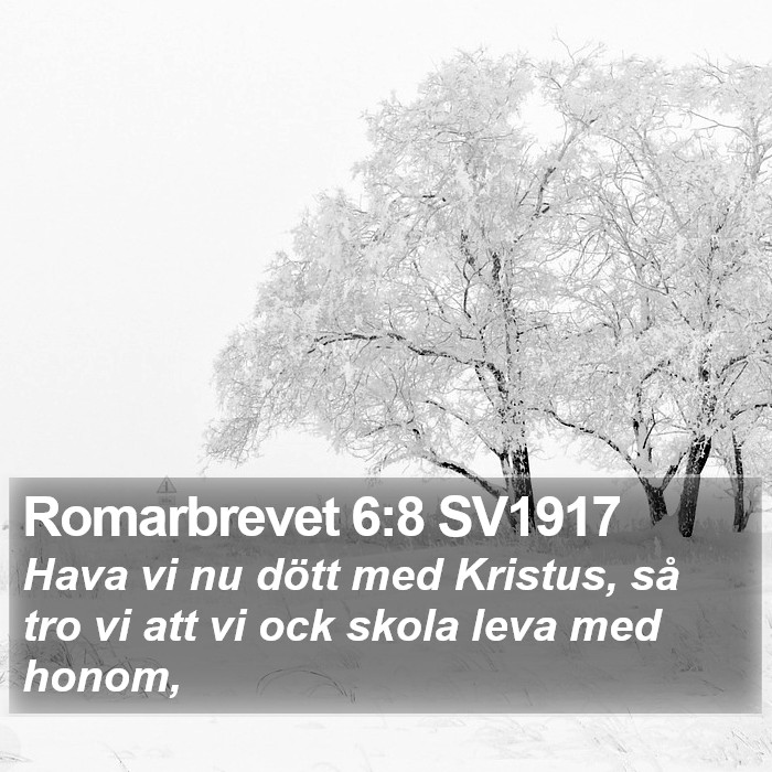 Romarbrevet 6:8 SV1917 Bible Study