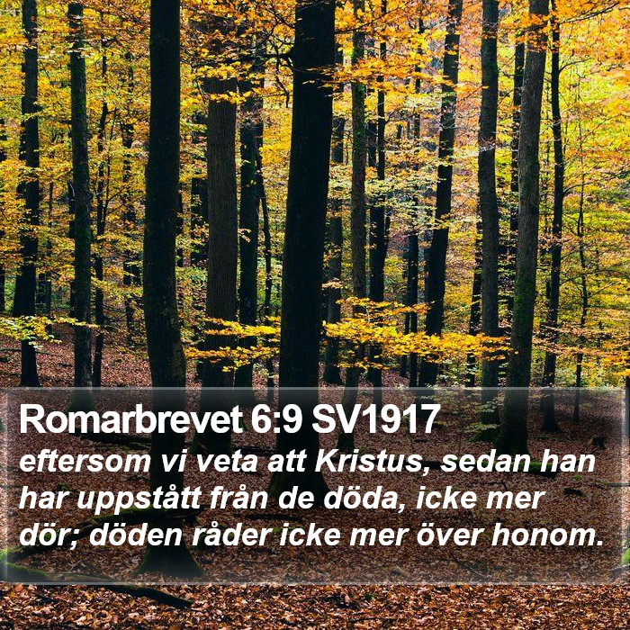 Romarbrevet 6:9 SV1917 Bible Study