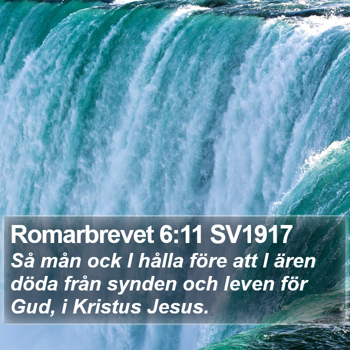 Romarbrevet 6:11 SV1917 Bible Study