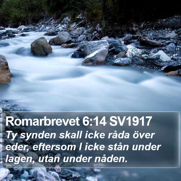 Romarbrevet 6:14 SV1917 Bible Study