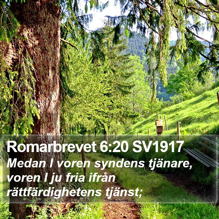 Romarbrevet 6:20 SV1917 Bible Study