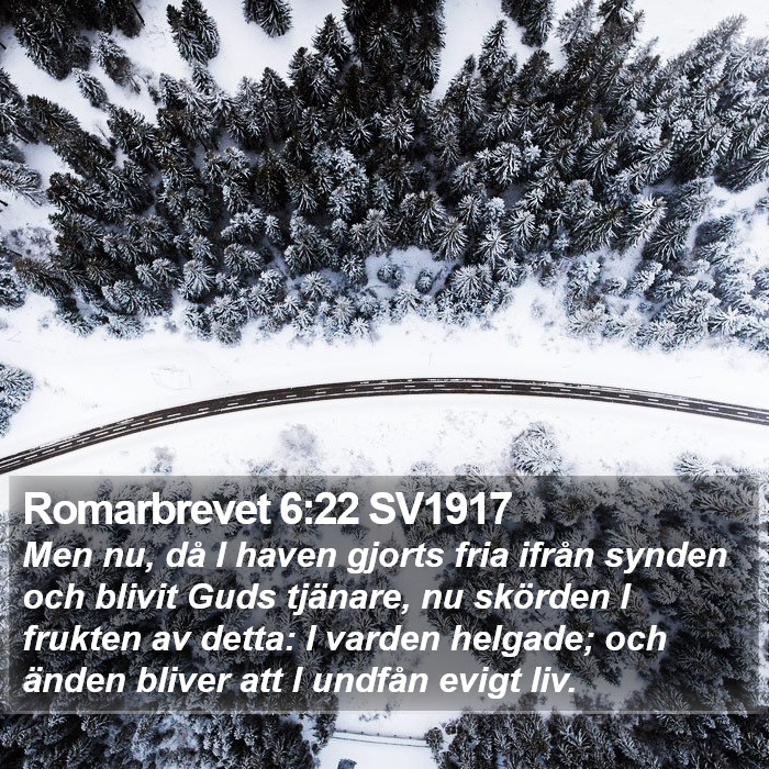 Romarbrevet 6:22 SV1917 Bible Study