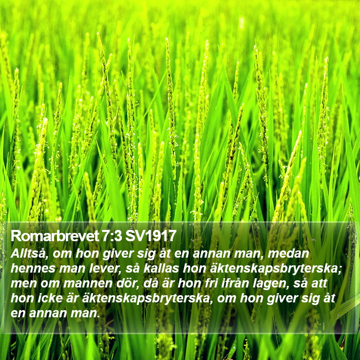 Romarbrevet 7:3 SV1917 Bible Study