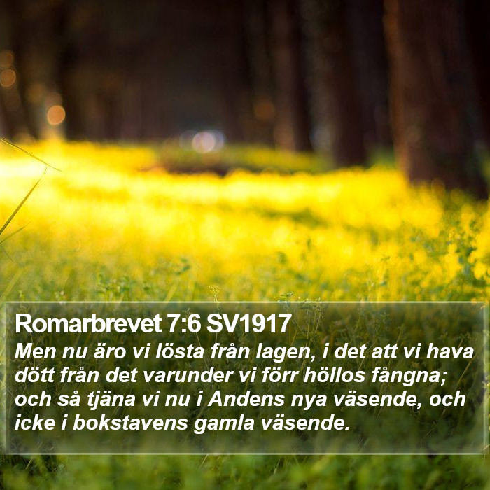 Romarbrevet 7:6 SV1917 Bible Study