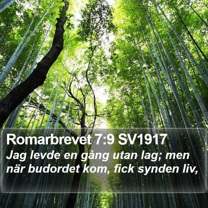 Romarbrevet 7:9 SV1917 Bible Study