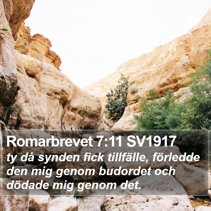 Romarbrevet 7:11 SV1917 Bible Study