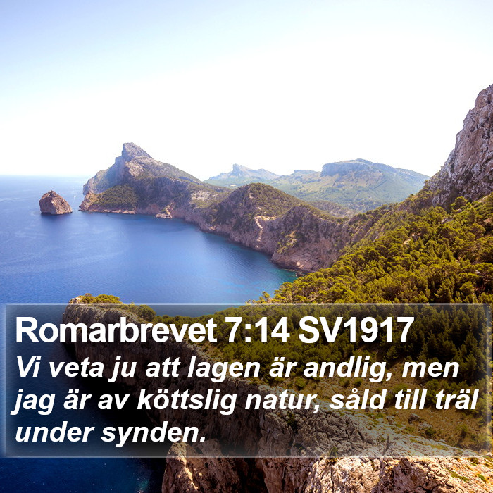 Romarbrevet 7:14 SV1917 Bible Study