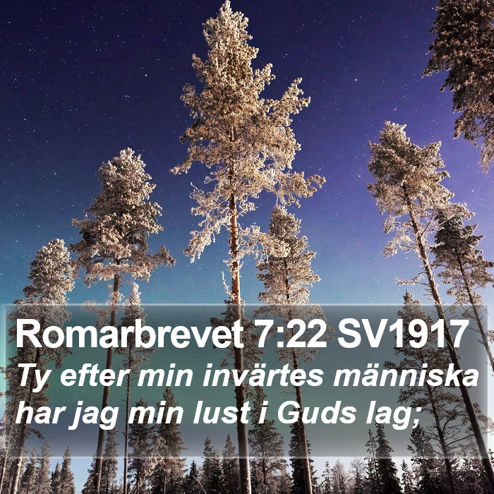 Romarbrevet 7:22 SV1917 Bible Study