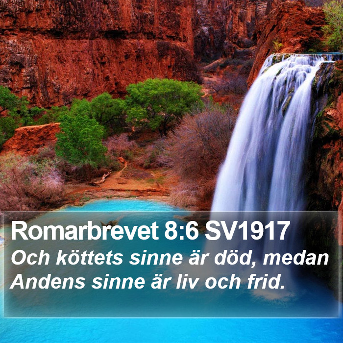 Romarbrevet 8:6 SV1917 Bible Study
