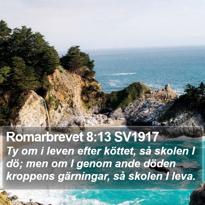 Romarbrevet 8:13 SV1917 Bible Study