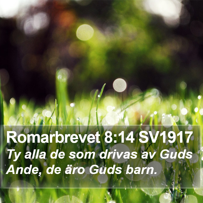 Romarbrevet 8:14 SV1917 Bible Study