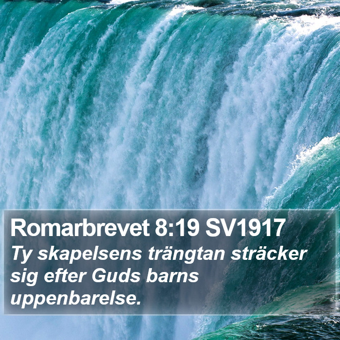 Romarbrevet 8:19 SV1917 Bible Study