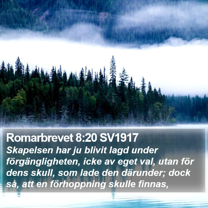 Romarbrevet 8:20 SV1917 Bible Study