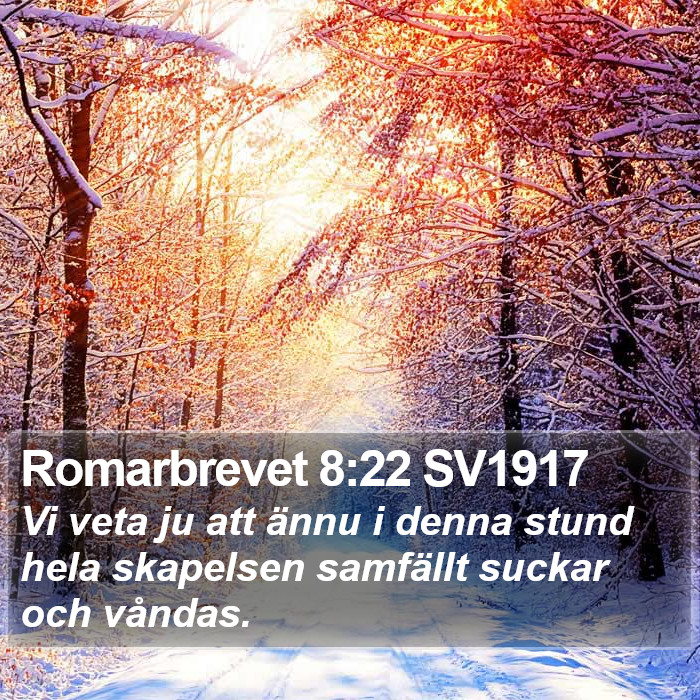 Romarbrevet 8:22 SV1917 Bible Study
