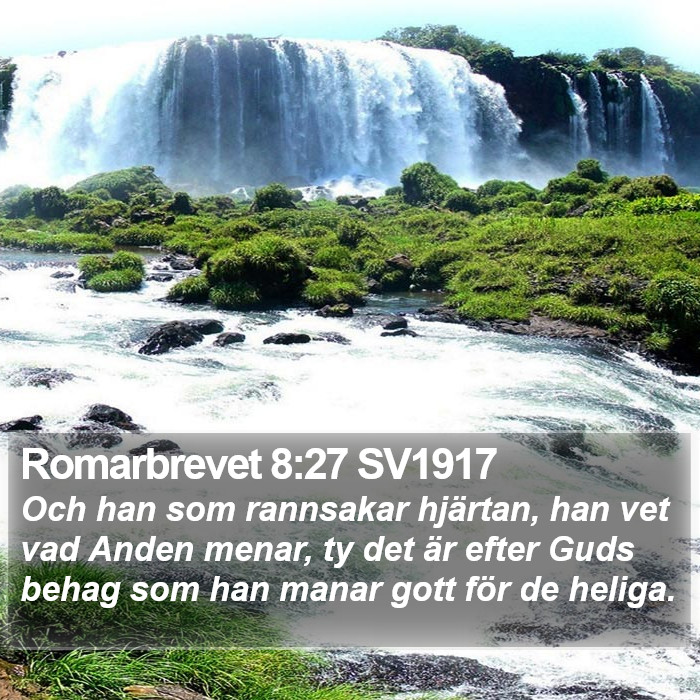 Romarbrevet 8:27 SV1917 Bible Study