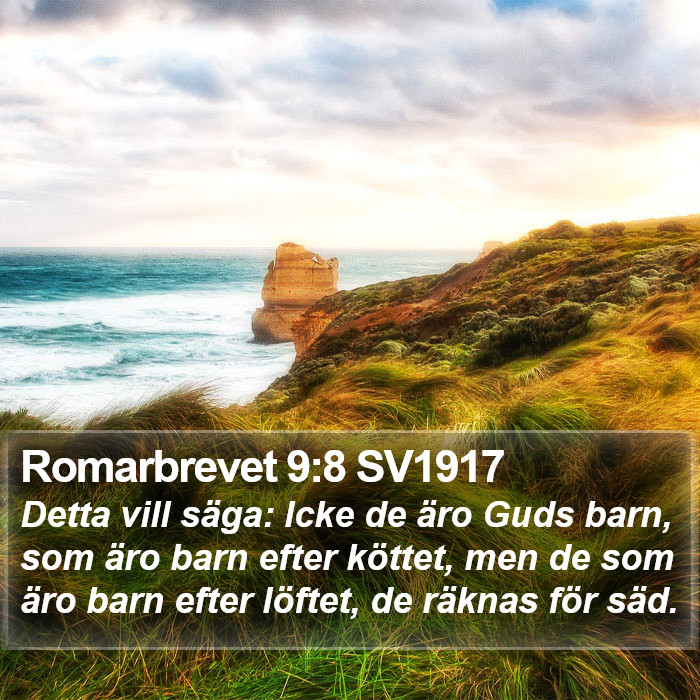 Romarbrevet 9:8 SV1917 Bible Study
