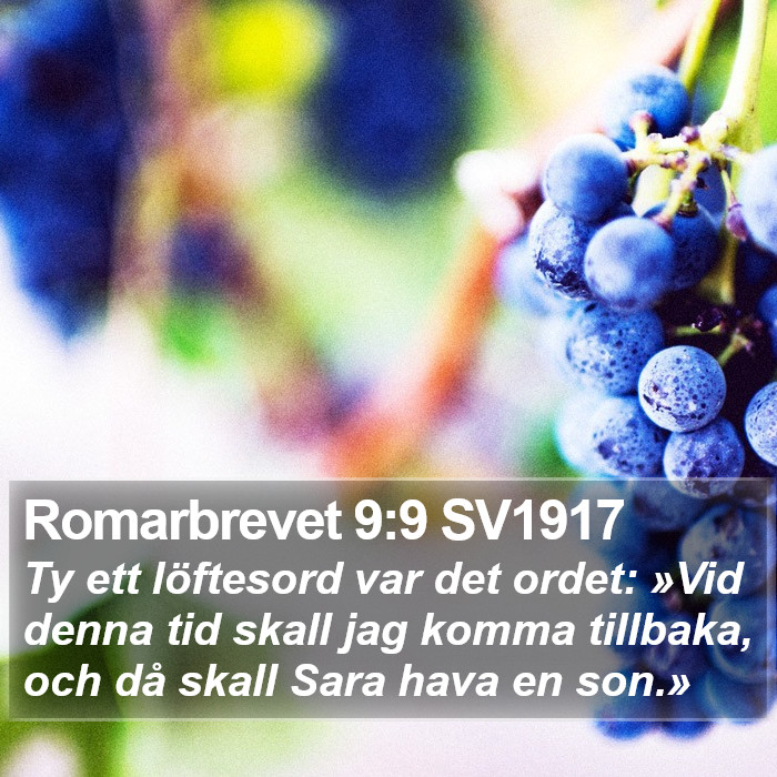 Romarbrevet 9:9 SV1917 Bible Study