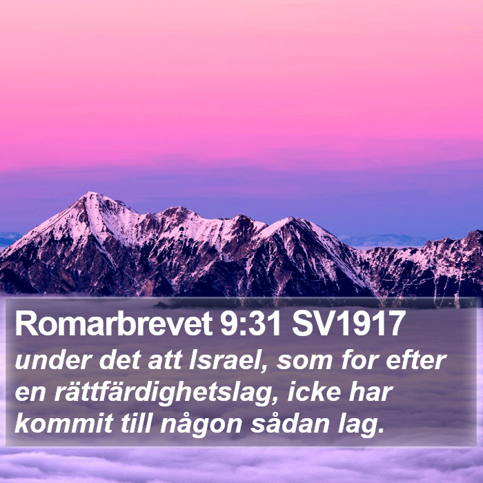 Romarbrevet 9:31 SV1917 Bible Study