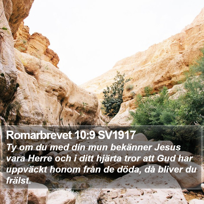 Romarbrevet 10:9 SV1917 Bible Study