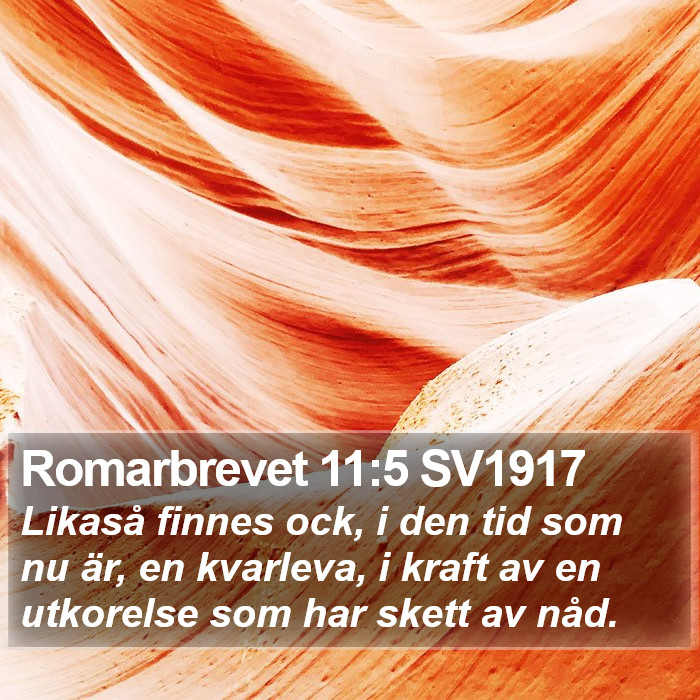 Romarbrevet 11:5 SV1917 Bible Study