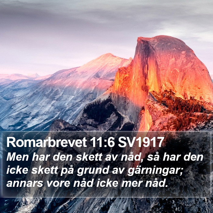 Romarbrevet 11:6 SV1917 Bible Study