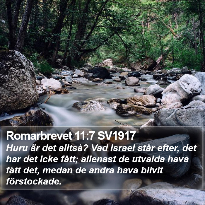 Romarbrevet 11:7 SV1917 Bible Study