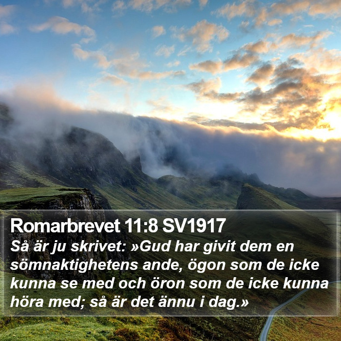 Romarbrevet 11:8 SV1917 Bible Study