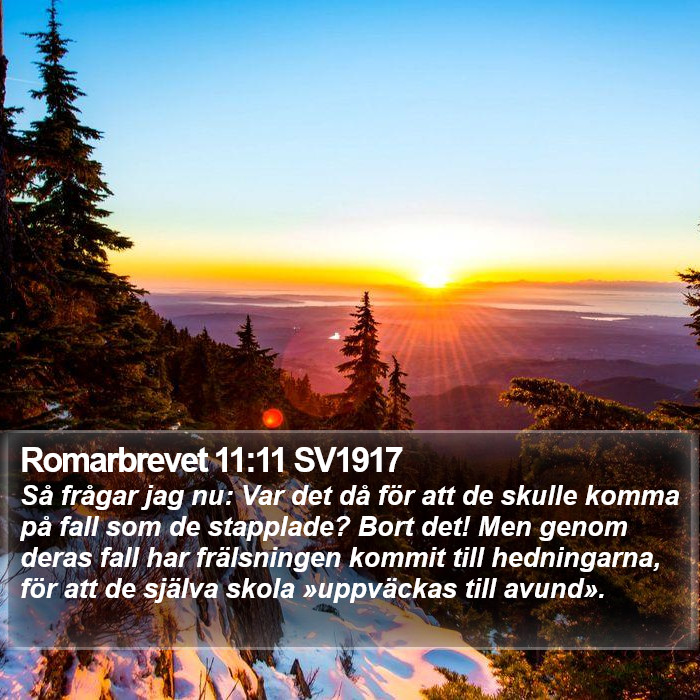 Romarbrevet 11:11 SV1917 Bible Study