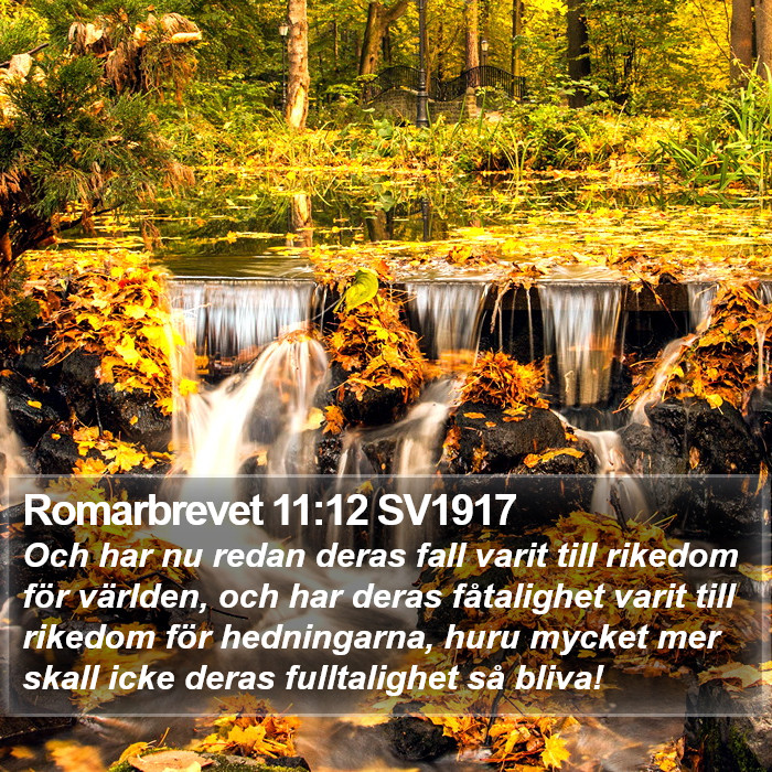 Romarbrevet 11:12 SV1917 Bible Study