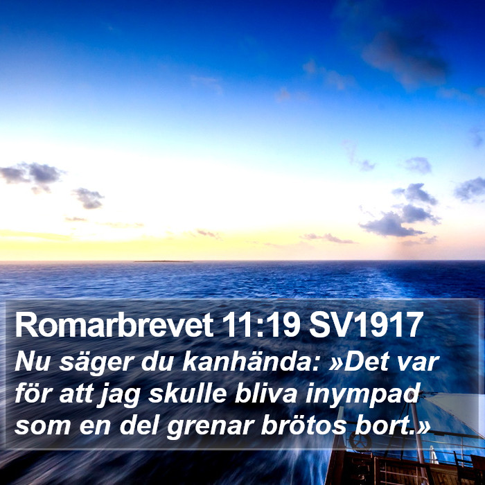 Romarbrevet 11:19 SV1917 Bible Study