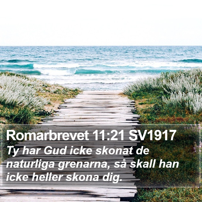 Romarbrevet 11:21 SV1917 Bible Study