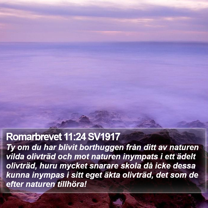 Romarbrevet 11:24 SV1917 Bible Study