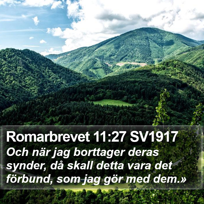 Romarbrevet 11:27 SV1917 Bible Study