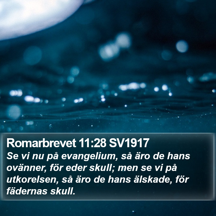 Romarbrevet 11:28 SV1917 Bible Study