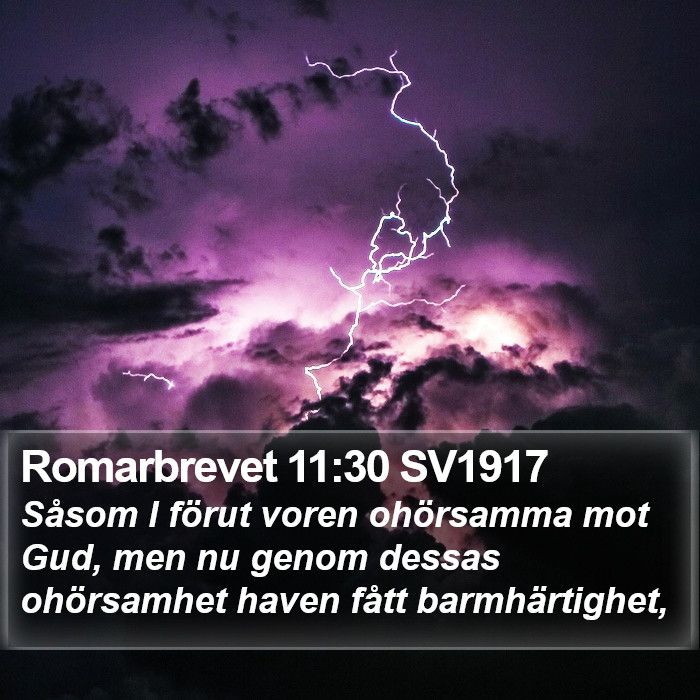 Romarbrevet 11:30 SV1917 Bible Study