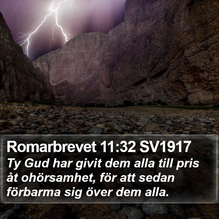 Romarbrevet 11:32 SV1917 Bible Study