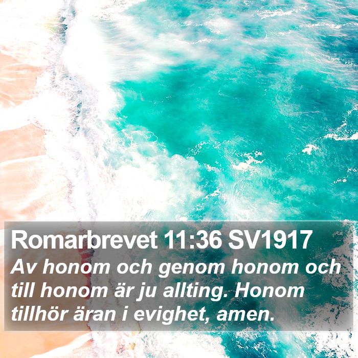 Romarbrevet 11:36 SV1917 Bible Study