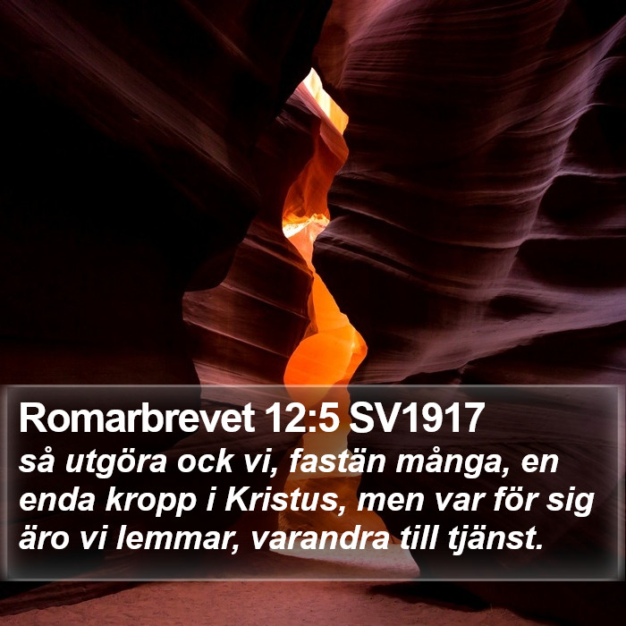 Romarbrevet 12:5 SV1917 Bible Study