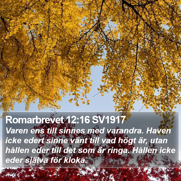 Romarbrevet 12:16 SV1917 Bible Study