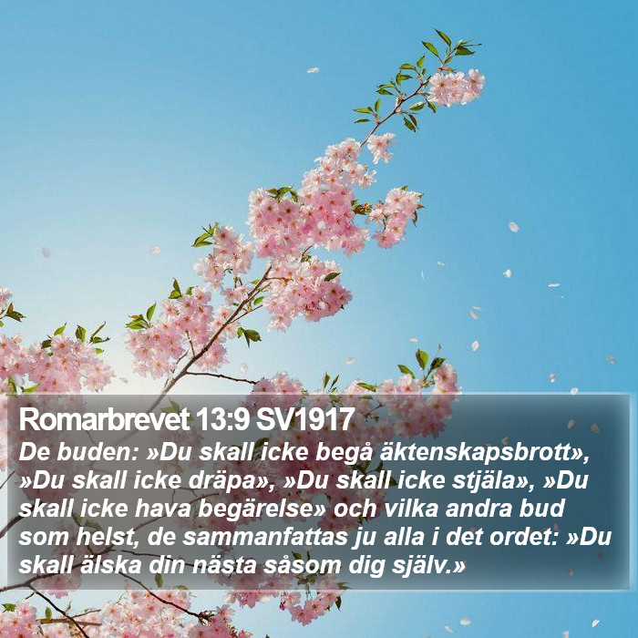 Romarbrevet 13:9 SV1917 Bible Study