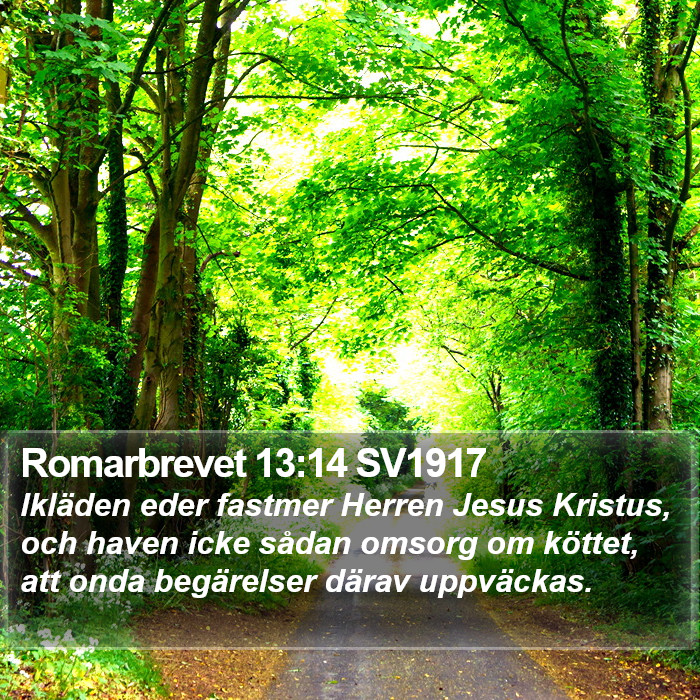 Romarbrevet 13:14 SV1917 Bible Study