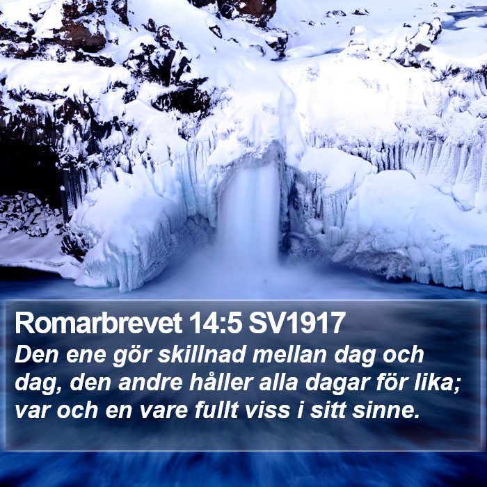Romarbrevet 14:5 SV1917 Bible Study