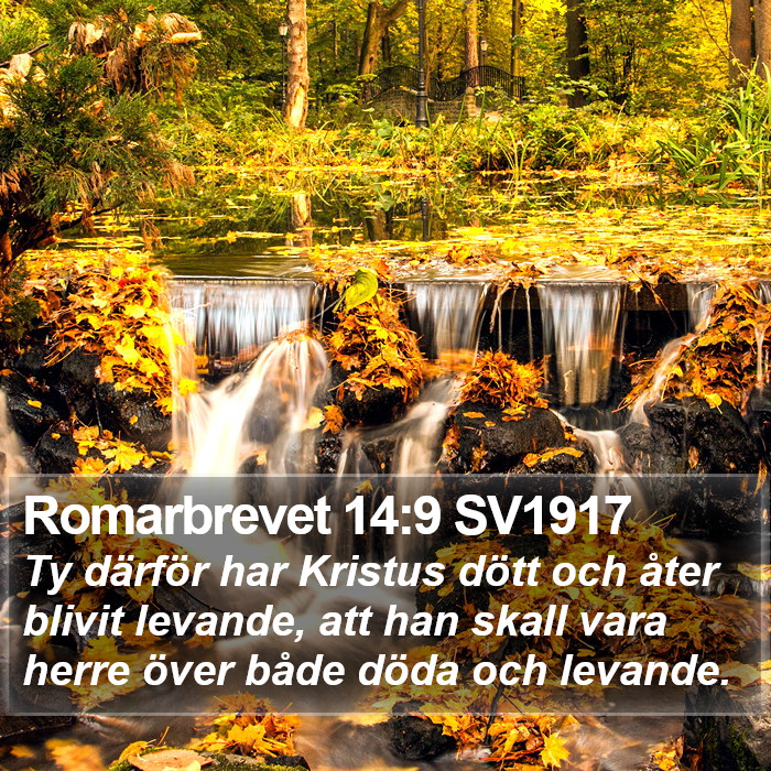 Romarbrevet 14:9 SV1917 Bible Study