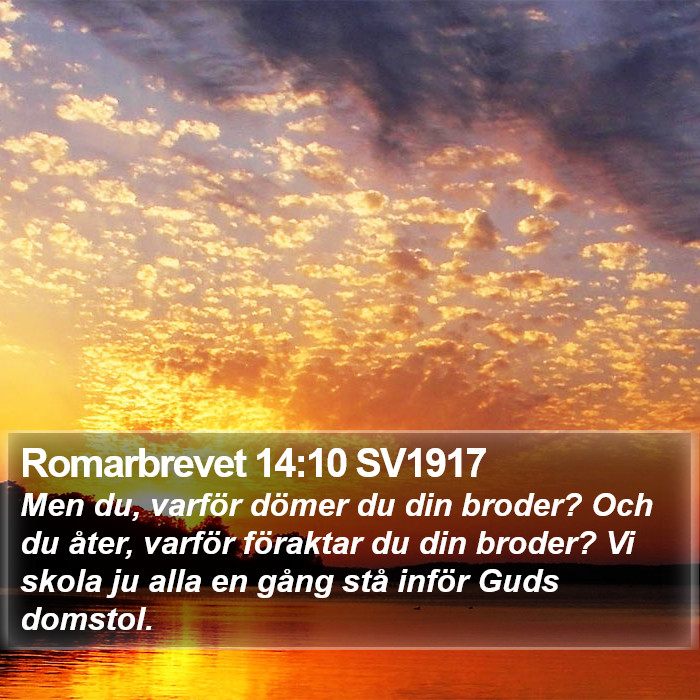Romarbrevet 14:10 SV1917 Bible Study