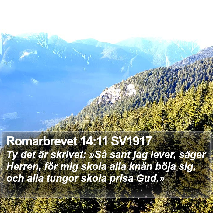 Romarbrevet 14:11 SV1917 Bible Study