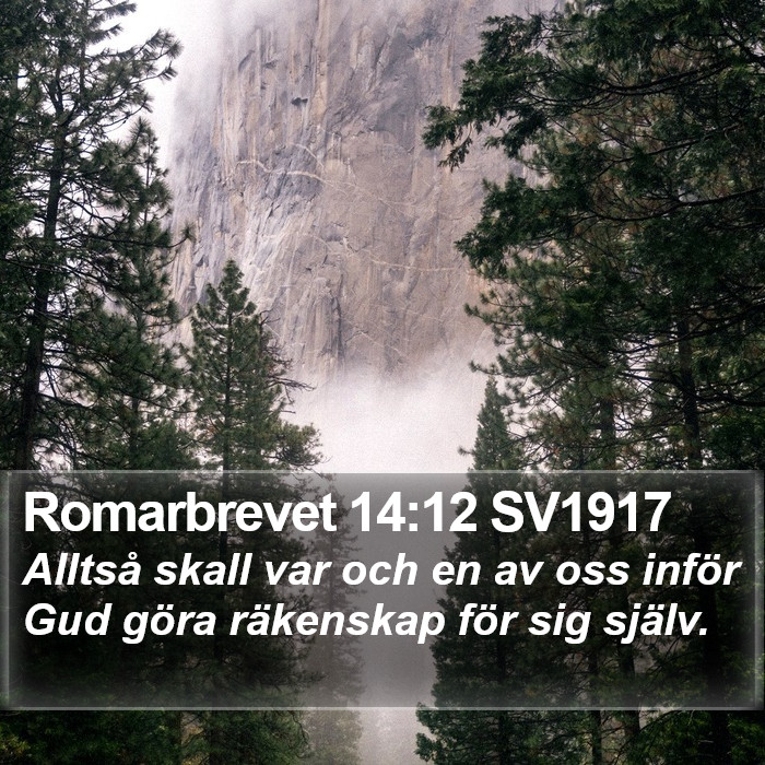 Romarbrevet 14:12 SV1917 Bible Study