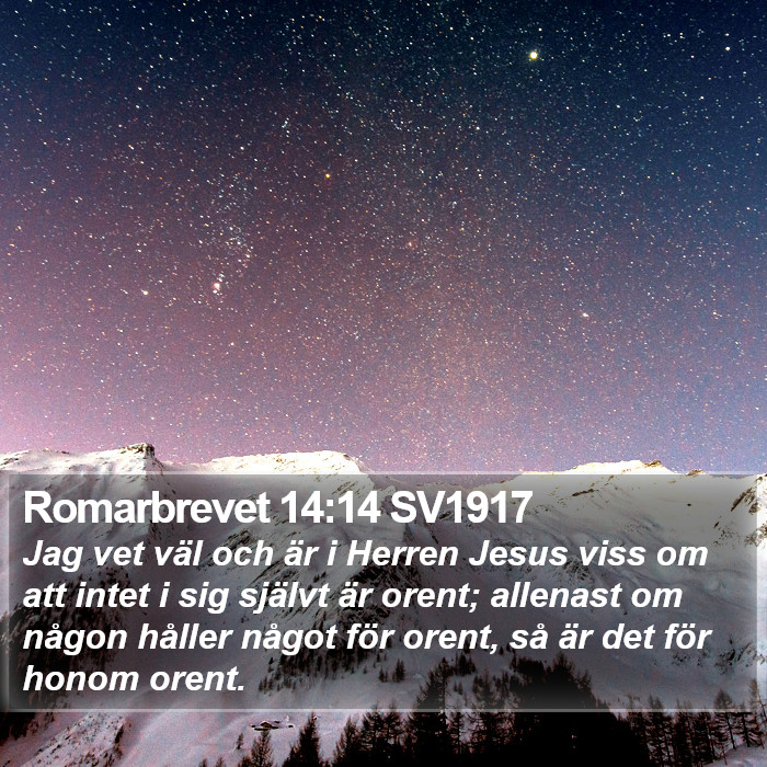 Romarbrevet 14:14 SV1917 Bible Study