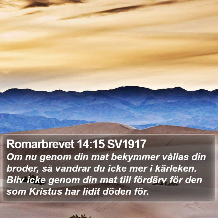 Romarbrevet 14:15 SV1917 Bible Study