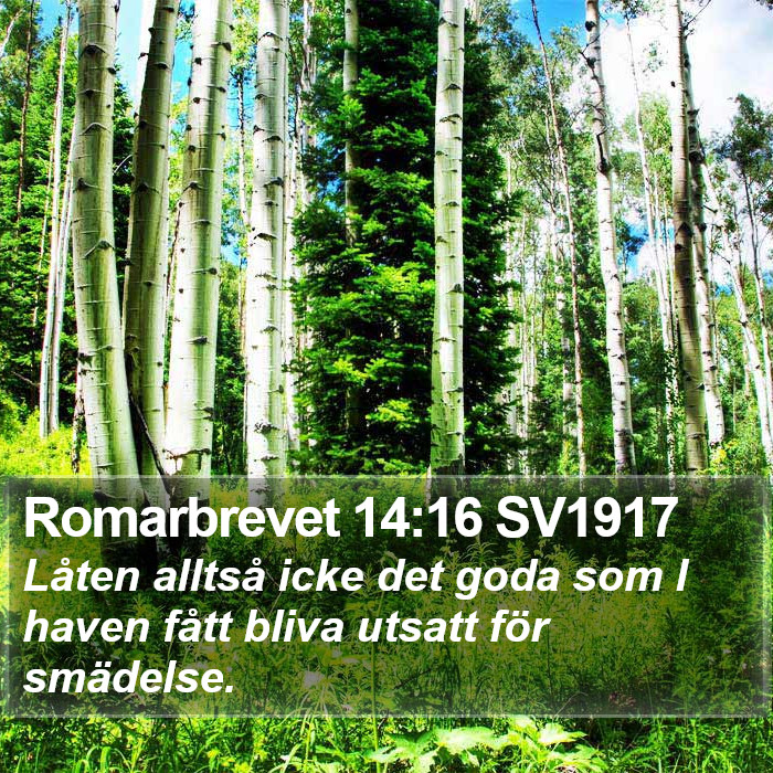 Romarbrevet 14:16 SV1917 Bible Study