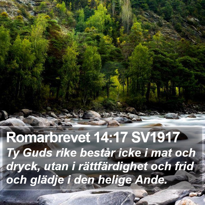 Romarbrevet 14:17 SV1917 Bible Study